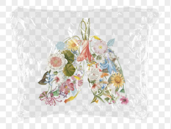 Floral lungs png plastic bag | Free PNG - rawpixel