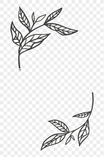 Floral ornament png frame, transparent | Free PNG - rawpixel