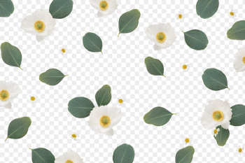 Floral pattern png, botanical, transparent | Free PNG - rawpixel