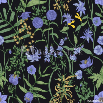 Floral seamless pattern with flowering herbaceous plants and wildflowers Floral seamless pattern with flowering herbaceous plants and wildflowers