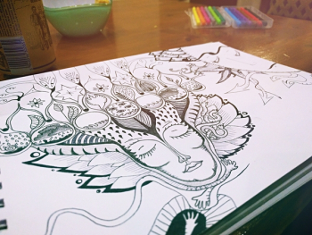 Floral Sketch Floral Sketch