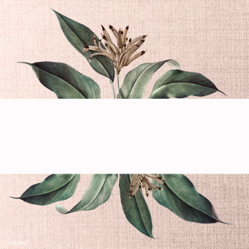 Floral white banner | Free stock vector - 595398 Floral white banner | Free stock vector - 595398