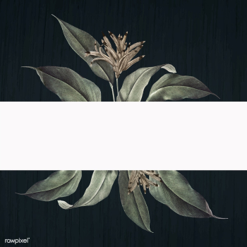 Floral white banner | Free stock vector - 595453