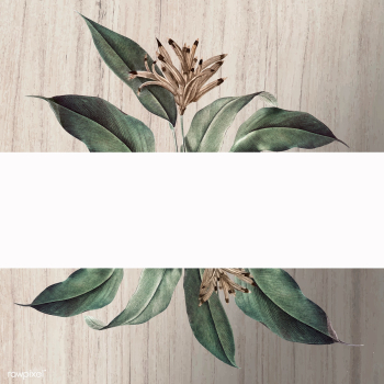 Floral white banner | Free stock vector - 595518 Floral white banner | Free stock vector - 595518