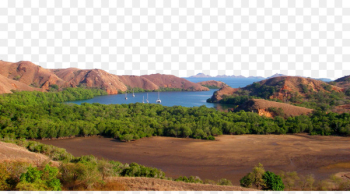 Flores Pink Beach Komodo National Park Sumbawa - Indonesia Komodo National Park Pictures 