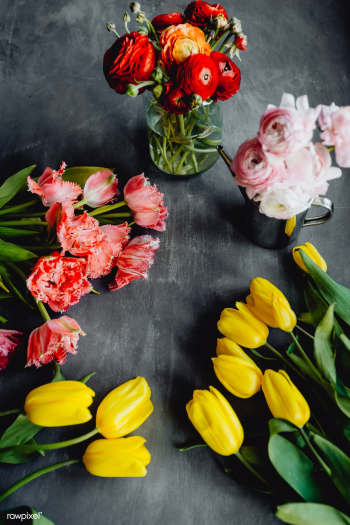 Florist's workspace | Free stock photo - 435196 Florist's workspace | Free stock photo - 435196