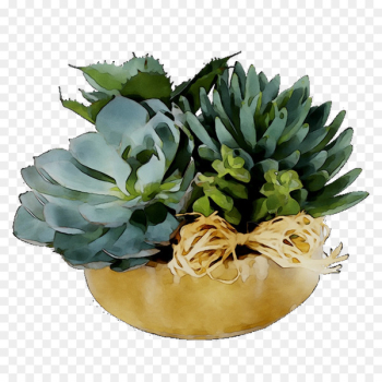 Flower - Flower -