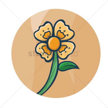 Flower Flower