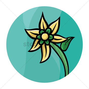 Flower Flower