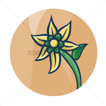 Flower Flower