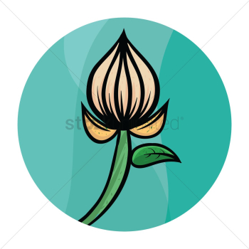 Flower Flower