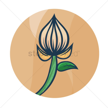 Flower Flower