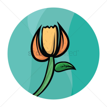 Flower Flower