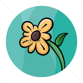 Flower Flower