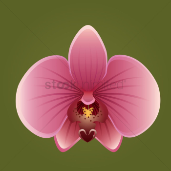 Flower Flower