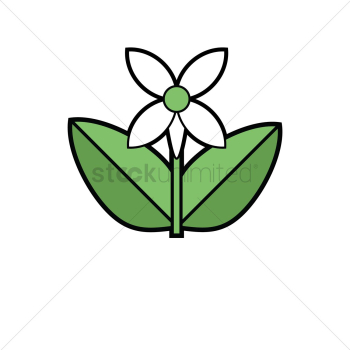 Flower Flower