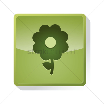 Flower Flower