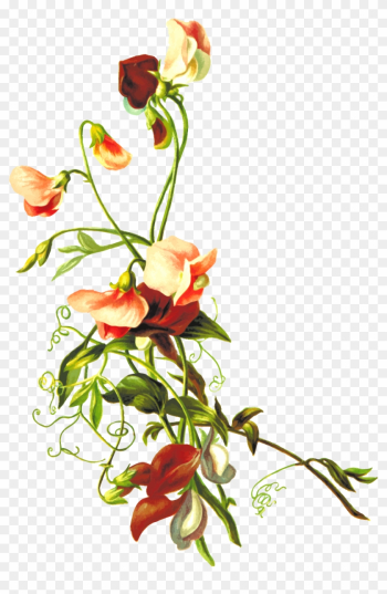 Flower 54 - Flower & Leaf Png Flower 54 - Flower & Leaf Png