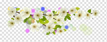 Flower Apricot, White Apricot transparent background PNG clipart Flower Apricot, White Apricot transparent background PNG clipart