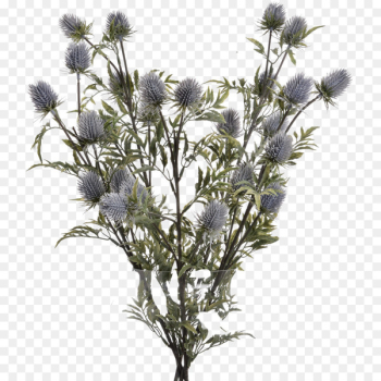 Flower, Artificial Flower, Vase, Plant PNG Flower, Artificial Flower, Vase, Plant PNG