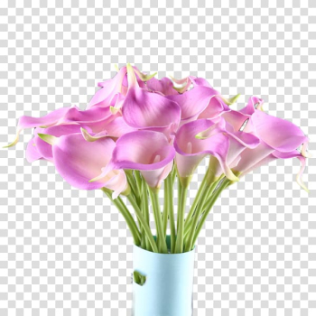 Flower Arum-lily , Purple calla transparent background PNG clipart Flower Arum-lily , Purple calla transparent background PNG clipart