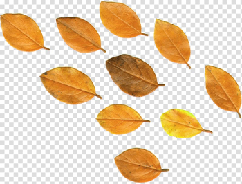Flower Autumn Rose, autumn leaves transparent background PNG clipart Flower Autumn Rose, autumn leaves transparent background PNG clipart