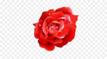 Flower Balloon Red - rose Flower Balloon Red - rose