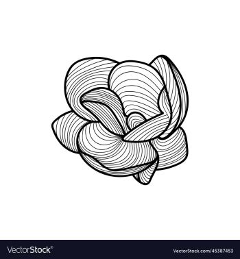 flower blossom line art design