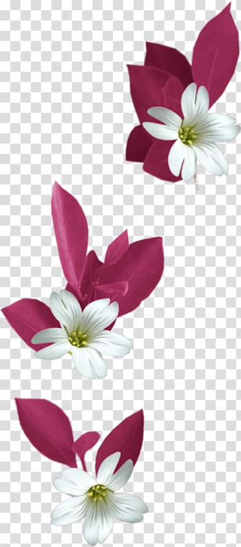 Flower Bokmxc3xa4rke , White lily decoration transparent background PNG clipart