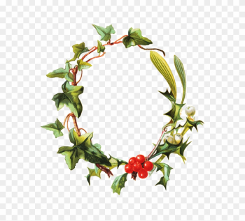 Flower Borders And Frames Christmas Frame Mistletoe - Borders And Frames