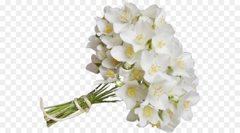 Flower bouquet Cut flowers Clip art - jasmine fleur 