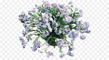 Flower bouquet English lavender Cut flowers Clip art - flower 