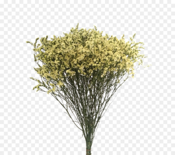 Flower bouquet Nosegay Wedding - Dried Bouquet Flower bouquet Nosegay Wedding - Dried Bouquet