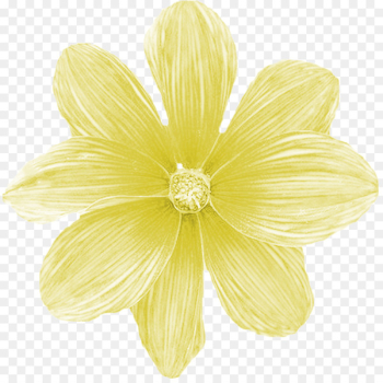 Flower bouquet Poster - Bouquet of Flowers poster background Flower bouquet Poster - Bouquet of Flowers poster background