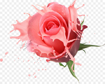 Flower bouquet Rose Drawing - Floral design Flower bouquet Rose Drawing - Floral design