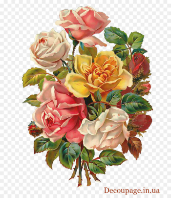 Flower bouquet Rose Floral design Clip art - flower vintage 