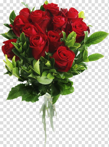Flower bouquet Rose, rose transparent background PNG clipart Flower bouquet Rose, rose transparent background PNG clipart