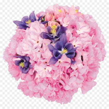 Flower bouquet Wedding Clip art - Hydrangea flower cluster Flower bouquet Wedding Clip art - Hydrangea flower cluster