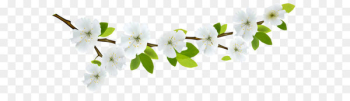 Flower Branch Clip art - Spring Branch White PNG Clipart Flower Branch Clip art - Spring Branch White PNG Clipart