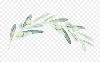 Flower, Branching, Plant PNG Flower, Branching, Plant PNG