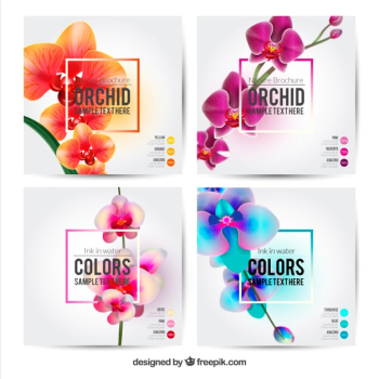 Flower brochures template Flower brochures template