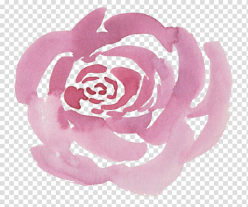 Flower Centifolia roses Watercolor painting Pink , watercolor rose transparent background PNG clipart