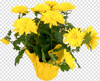 Flower Chrysanthemum Yellow Plant , chrysanthemum transparent background PNG clipart Flower Chrysanthemum Yellow Plant , chrysanthemum transparent background PNG clipart