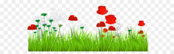 Flower Clip art - Art Grass Decor PNG Clipart Flower Clip art - Art Grass Decor PNG Clipart