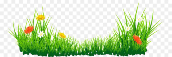 Flower Clip art - flower Flower Clip art - flower