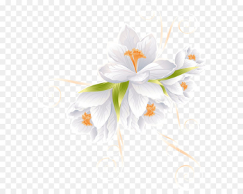 Flower Clip art - White Flower Decor Transparent PNG Clip Art Image 