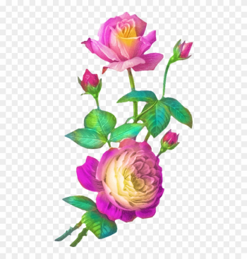 Flower Clipart, Painted Rocks, Rock Painting, Florals, - Garden Roses Flower Clipart, Painted Rocks, Rock Painting, Florals, - Garden Roses