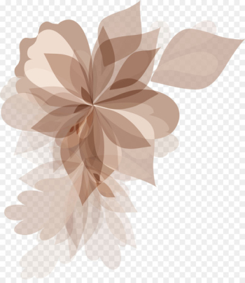 Flower Color - Brown flower pattern Flower Color - Brown flower pattern