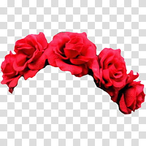 Flower Crowns, red flower decor transparent background PNG clipart Flower Crowns, red flower decor transparent background PNG clipart