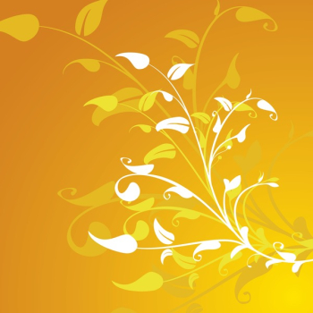 Flower Decoration Background Flower Decoration Background